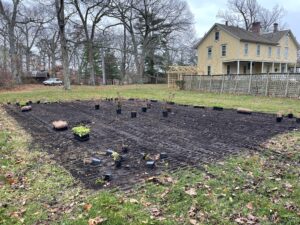 selling native plants