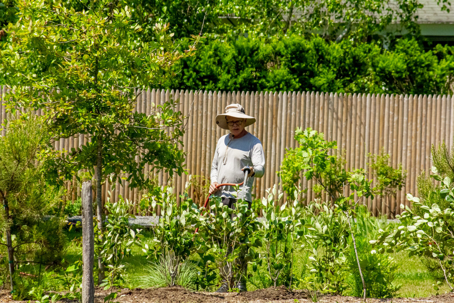plant natives for Earth Day
