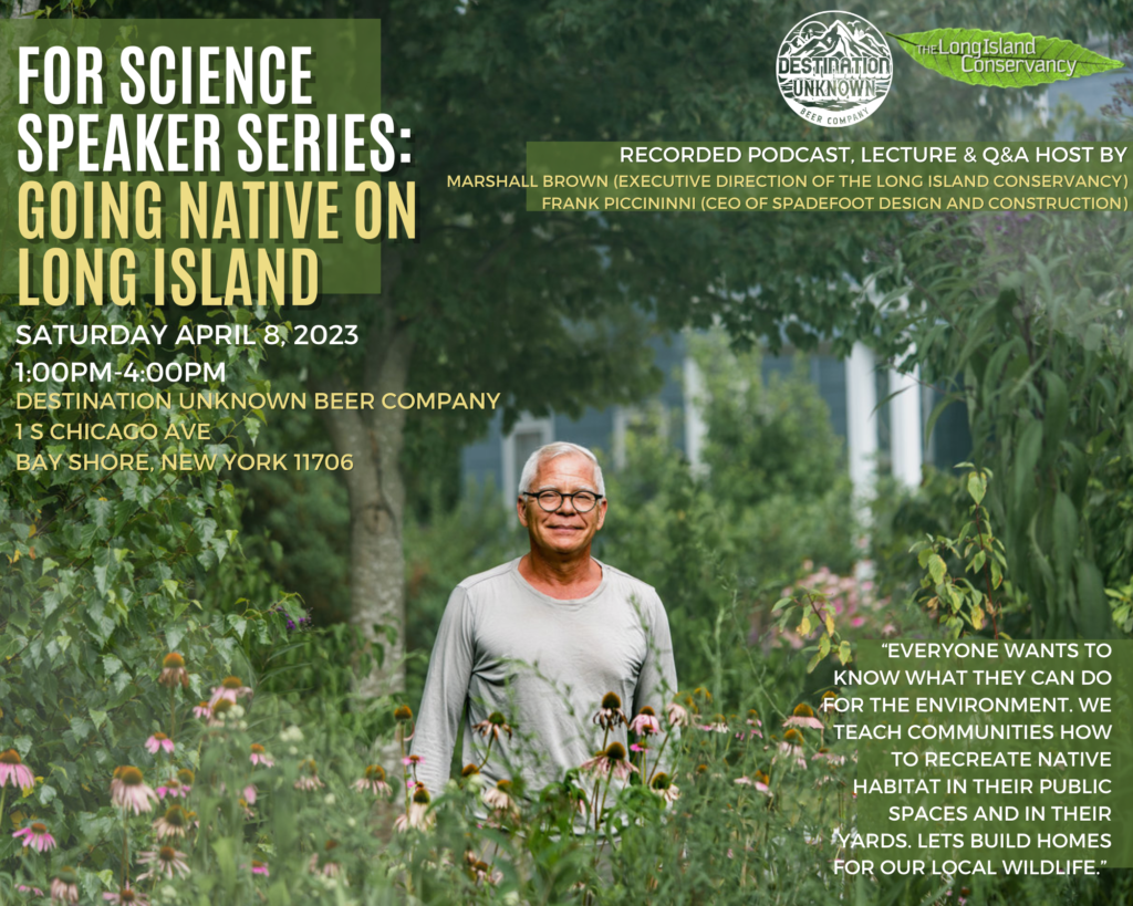 Going Native With Wildflowers