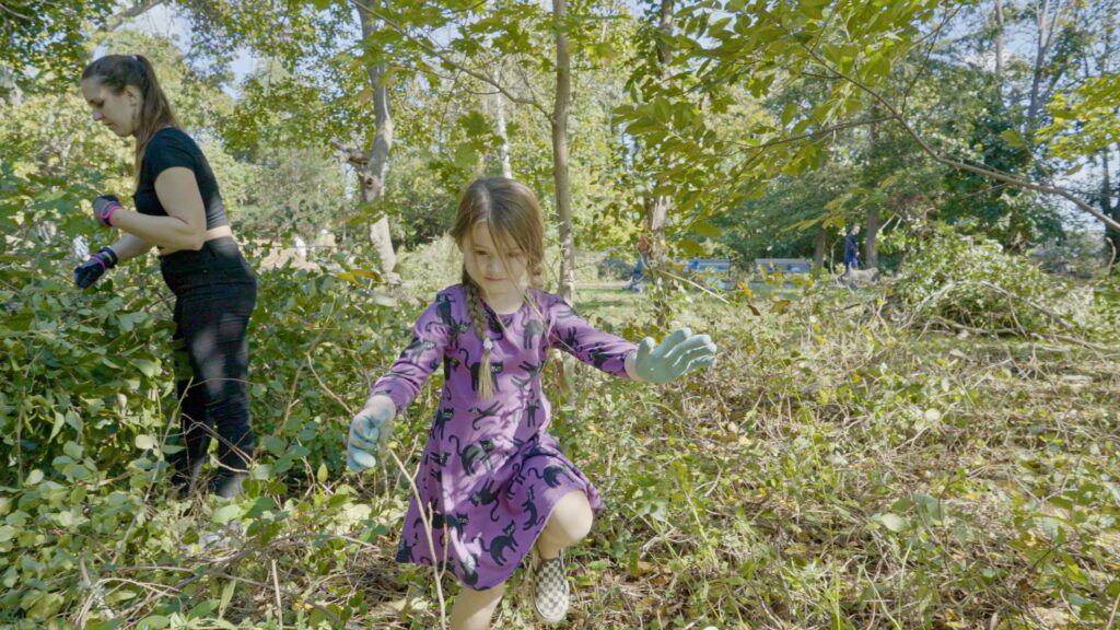 volunteer for nature