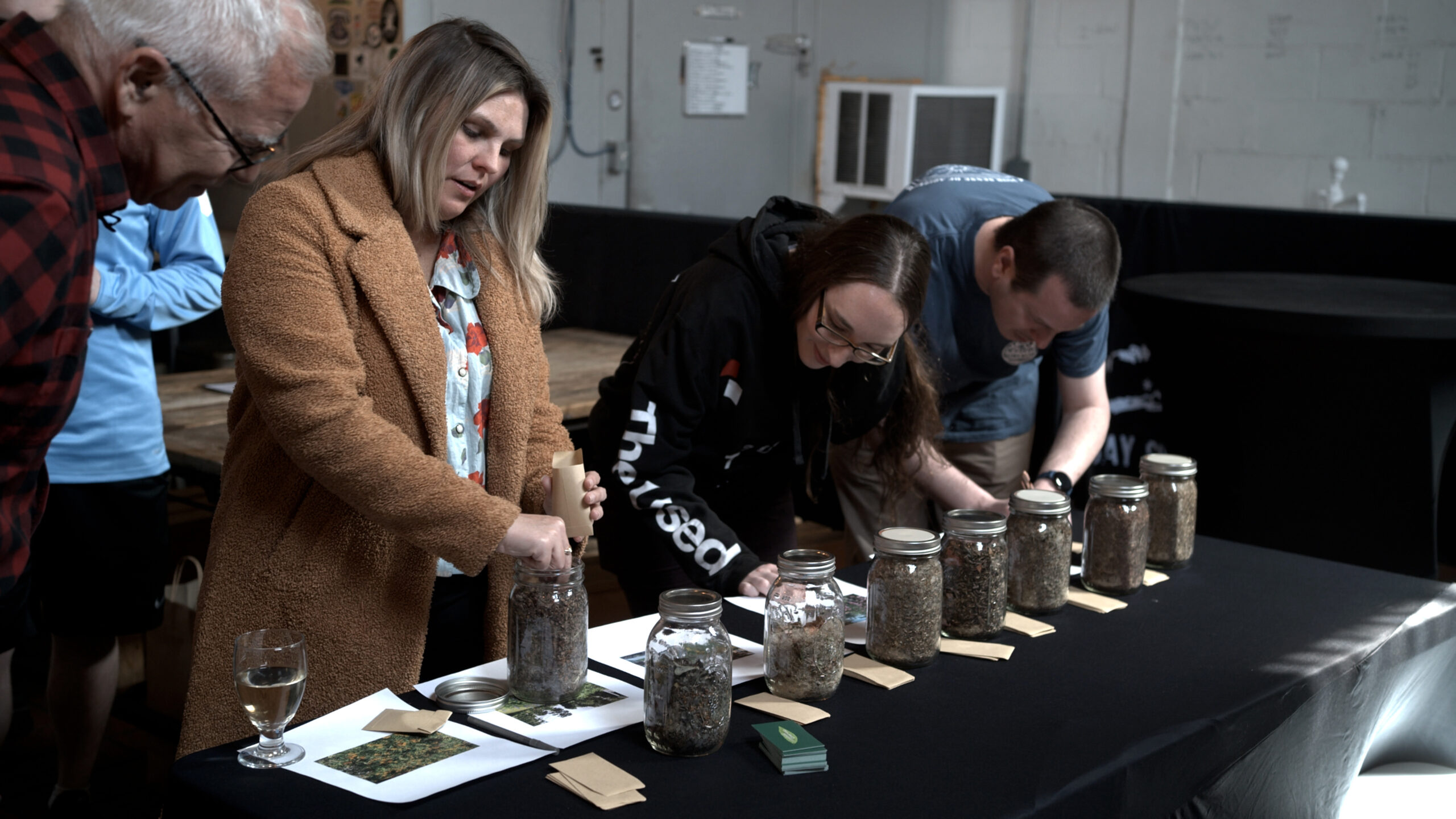 Native Wildflower Seeds