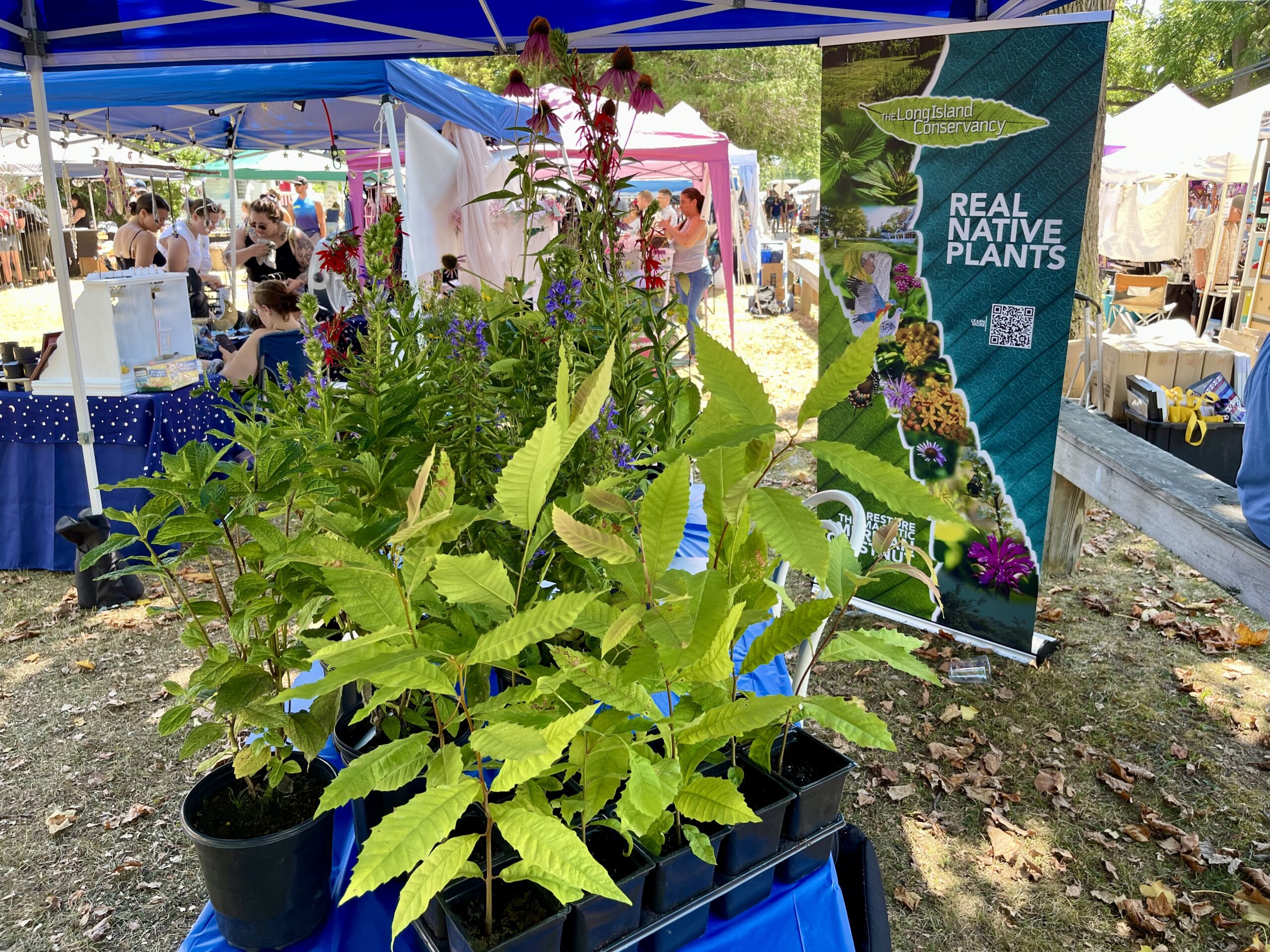 Selling Native Plants