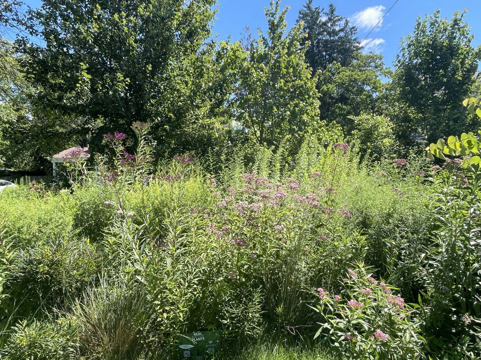 stormwater management