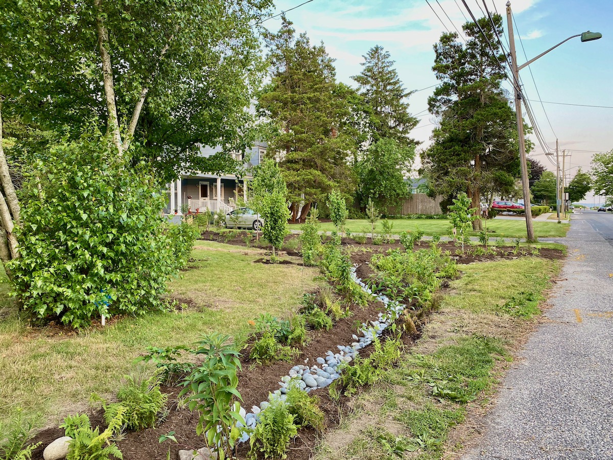 local sustainability