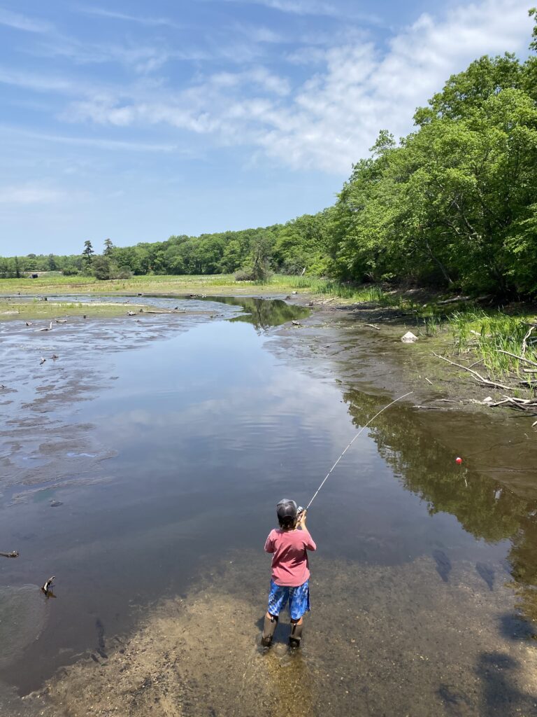 let the waters run free
